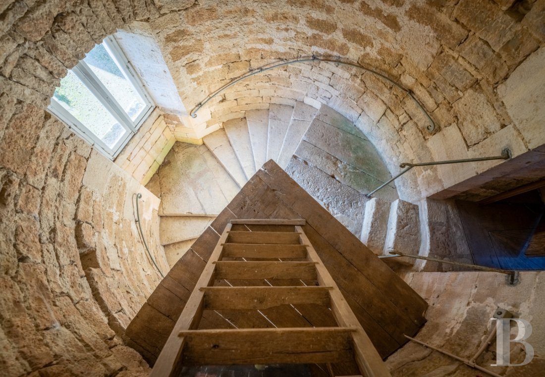 chateaux for sale France midi pyrenees   - 17