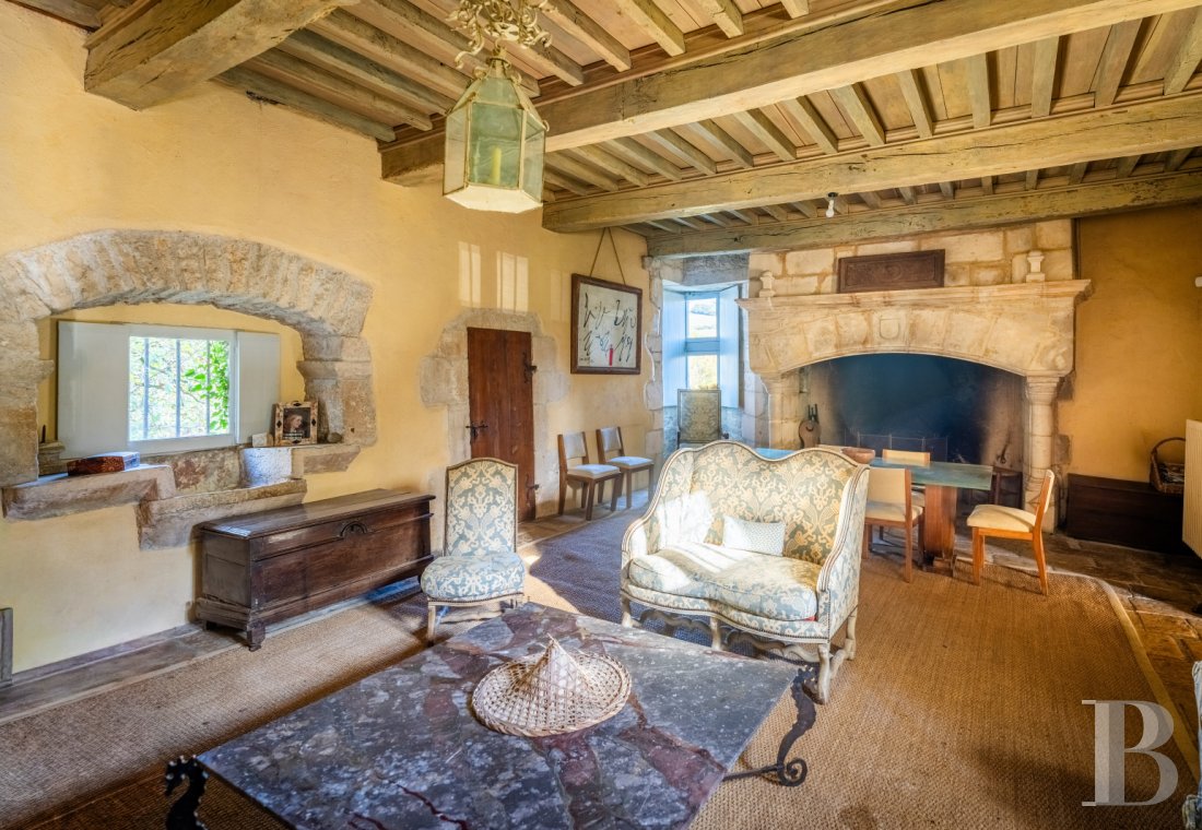 chateaux for sale France midi pyrenees   - 8