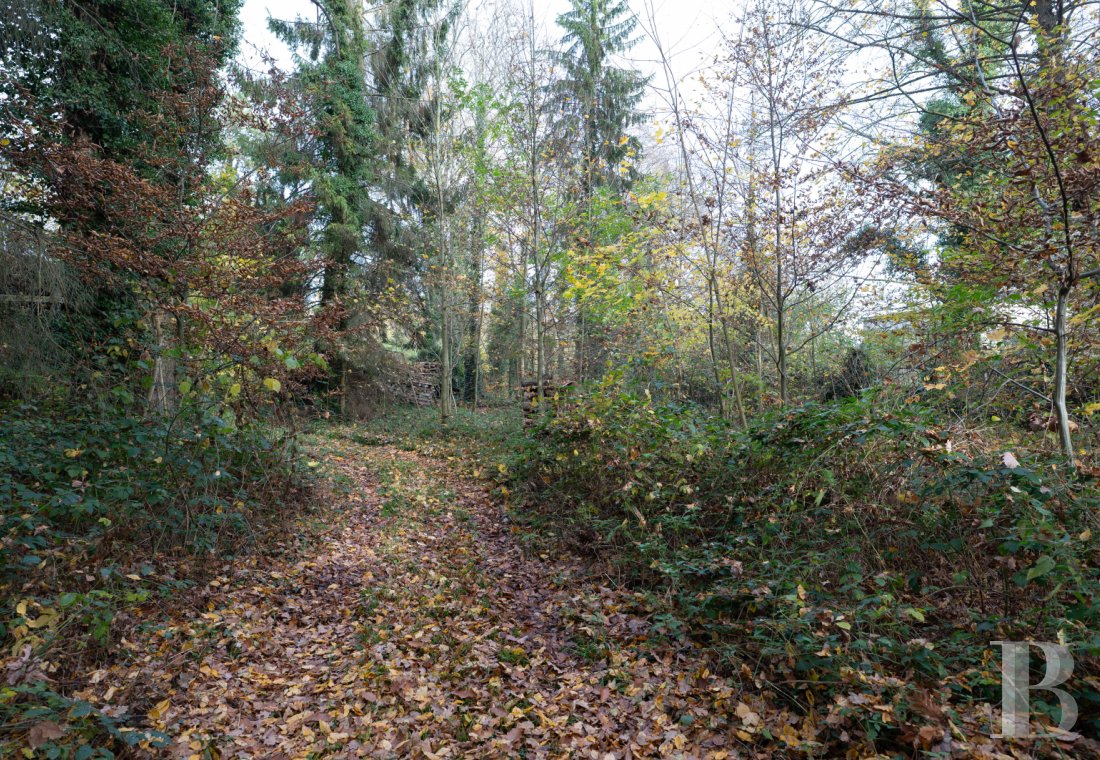 character properties France picardy   - 15