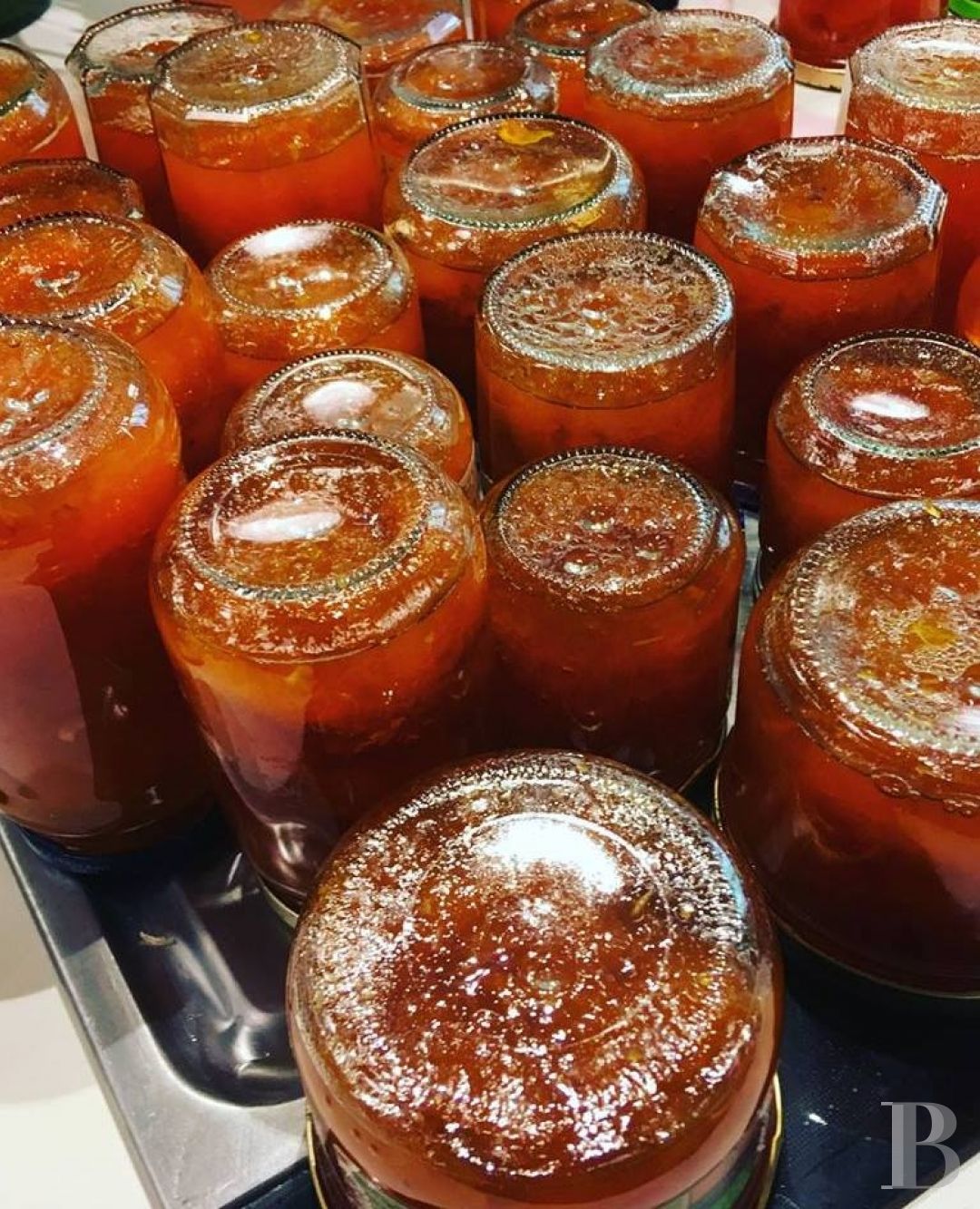 Entre Alès et Uzès, au cœur d’un village de la Provence gardoise, une paisible demeure seigneuriale animée d’un esprit contemporain - photo  n°17