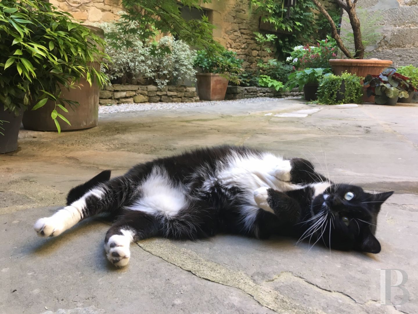 Entre Alès et Uzès, au cœur d’un village de la Provence gardoise, une paisible demeure seigneuriale animée d’un esprit contemporain - photo  n°22