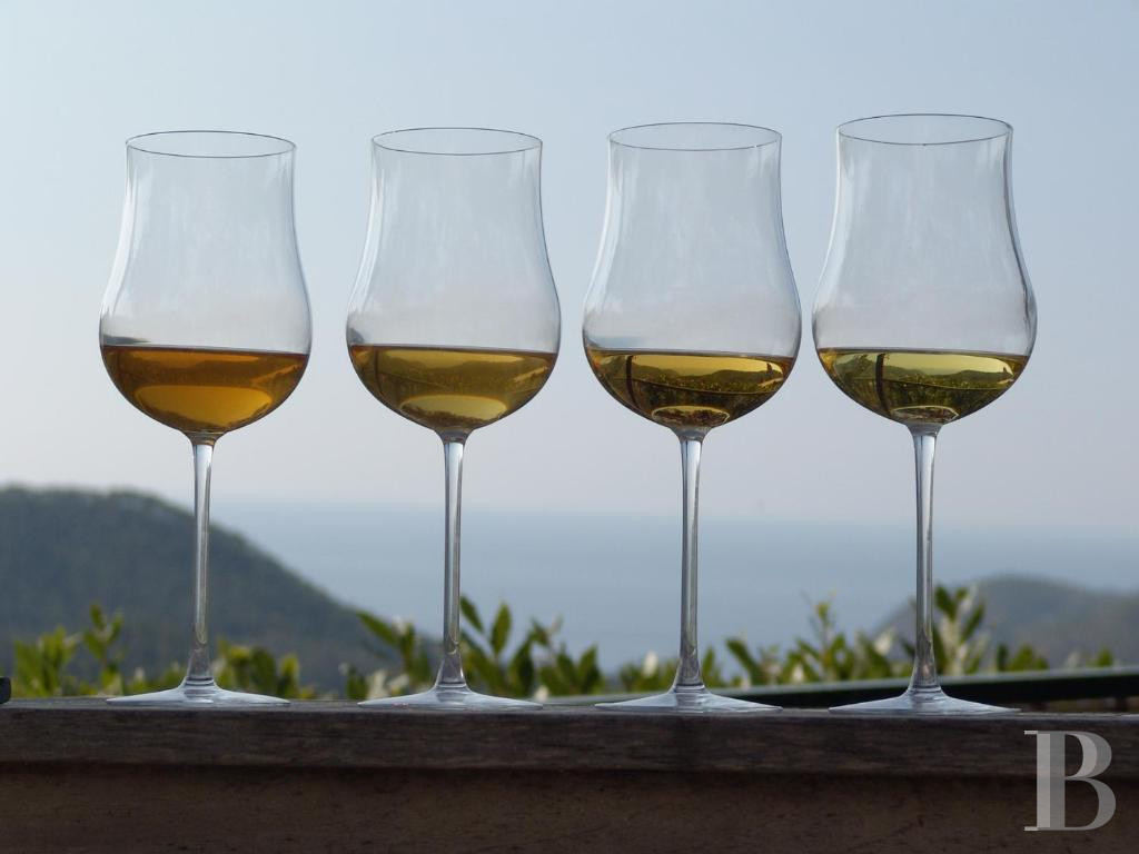 A family home transformed into a charming hotel, perched high above Levanto on the Gulf of Genoa - photo  n°20