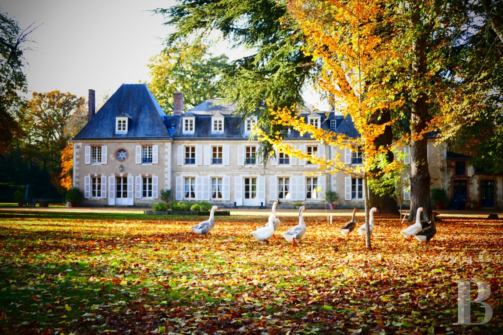 Au nord de Châteaudun, en Eure-et-Loir,  un château dans son parc à l’anglaise et ses vastes bois - photo  n°2