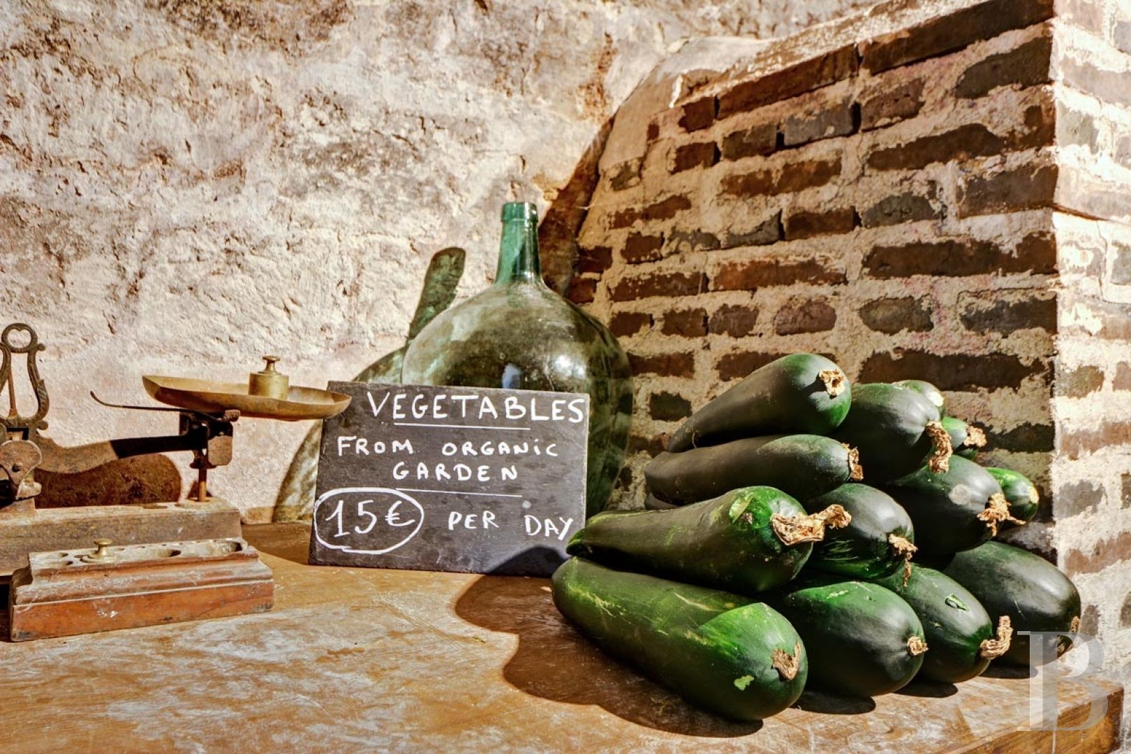 Au nord de Châteaudun, en Eure-et-Loir,  un château dans son parc à l’anglaise et ses vastes bois - photo  n°37