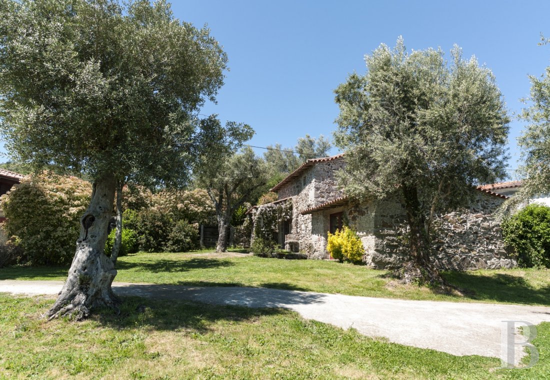 An old, rural estate converted into six guest houses in Cabeceiras de Basto in northern Portugal - photo  n°29