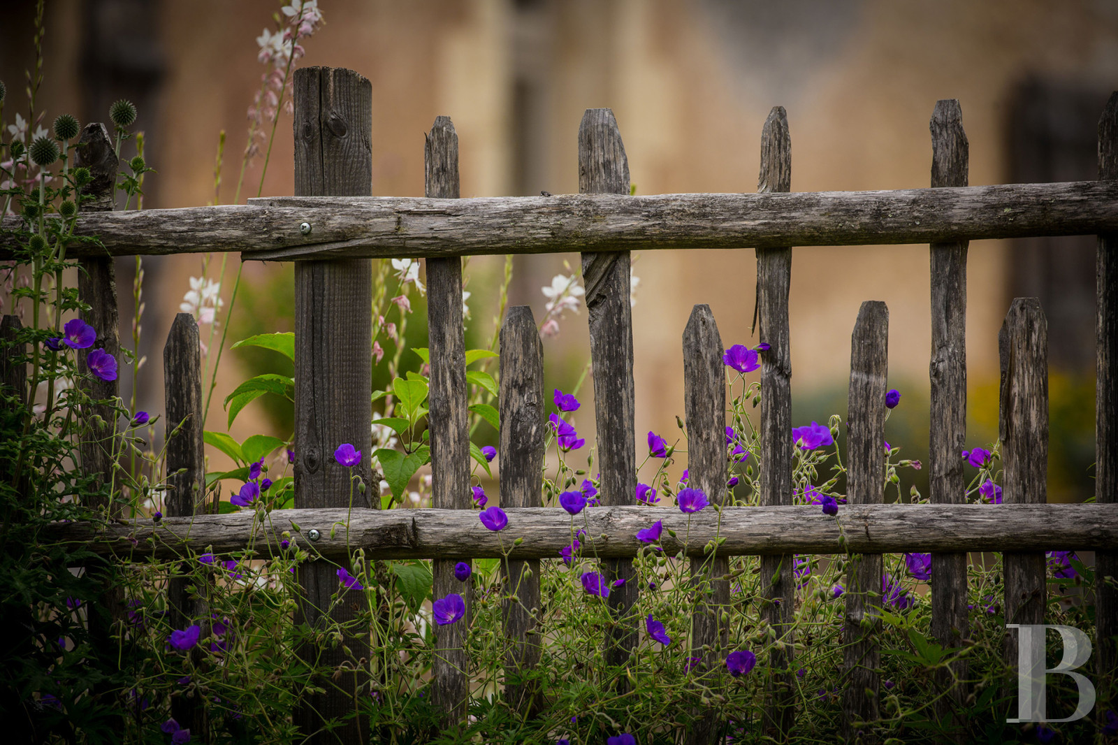 A 16th century mansion now serving as a guest housein the Périgord, not far from Bergerac - photo  n°43