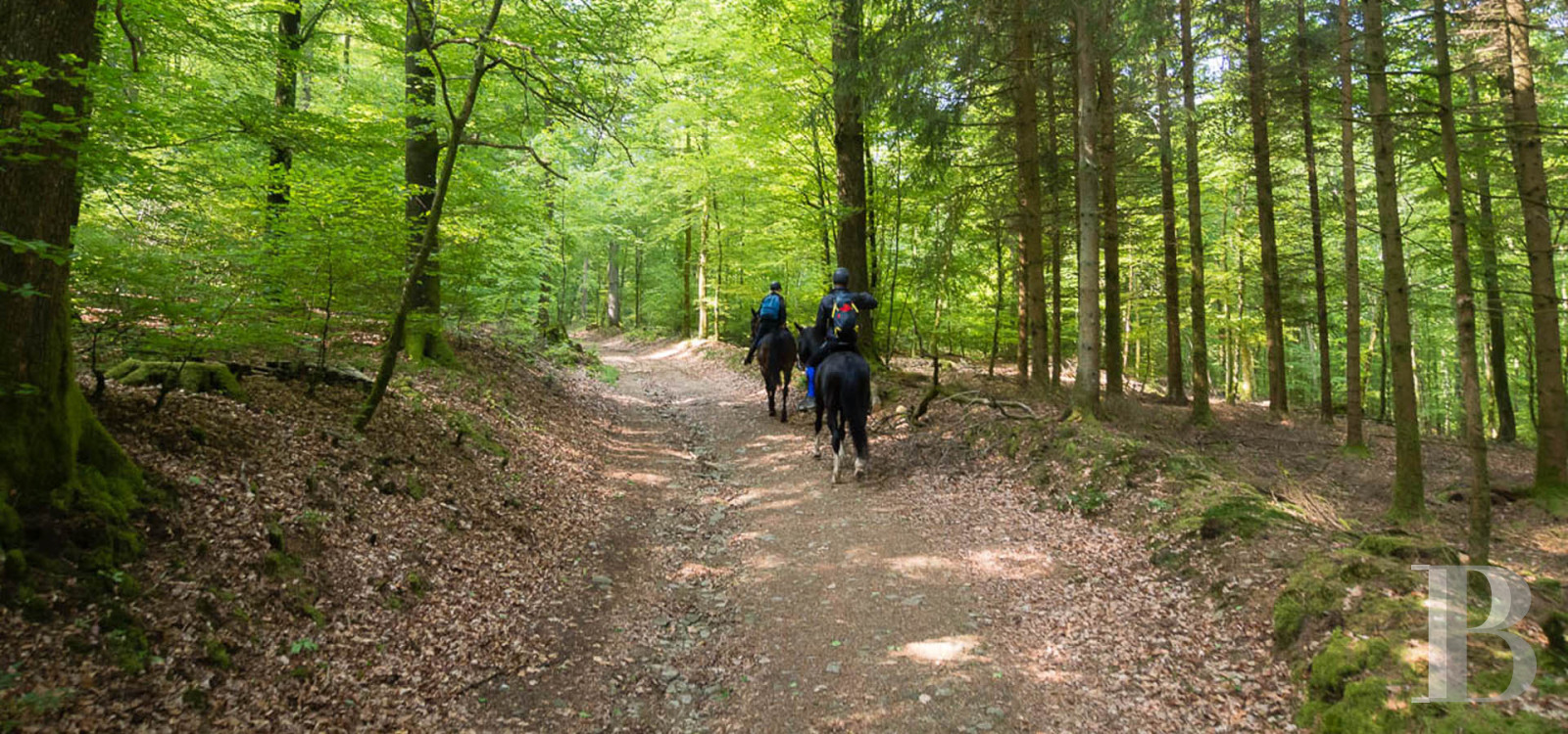 A 16th century mansion now serving as a guest housein the Périgord, not far from Bergerac - photo  n°45