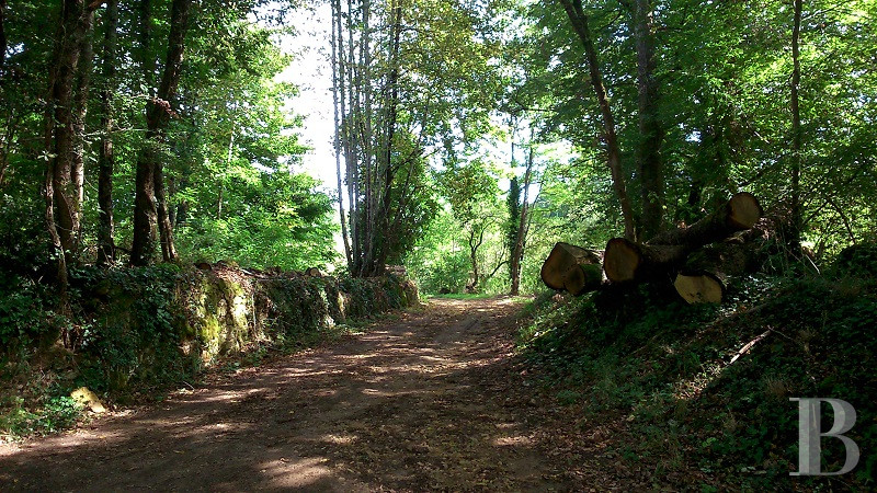 A 16th century mansion now serving as a guest housein the Périgord, not far from Bergerac - photo  n°46