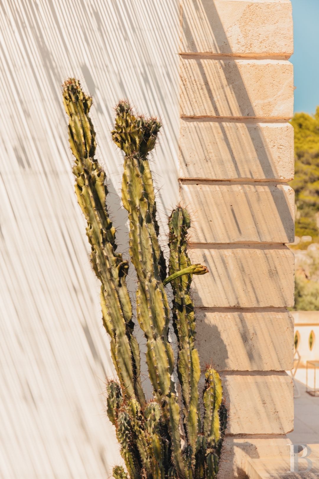 An old patrician-style masseria in Puglia, not far from Massafra - photo  n°3