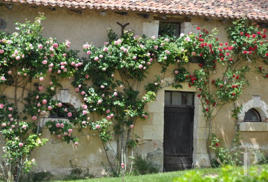 A manor house nestled in the hills of the Dordogne, to the north-west of Périgueux - photo  n°14