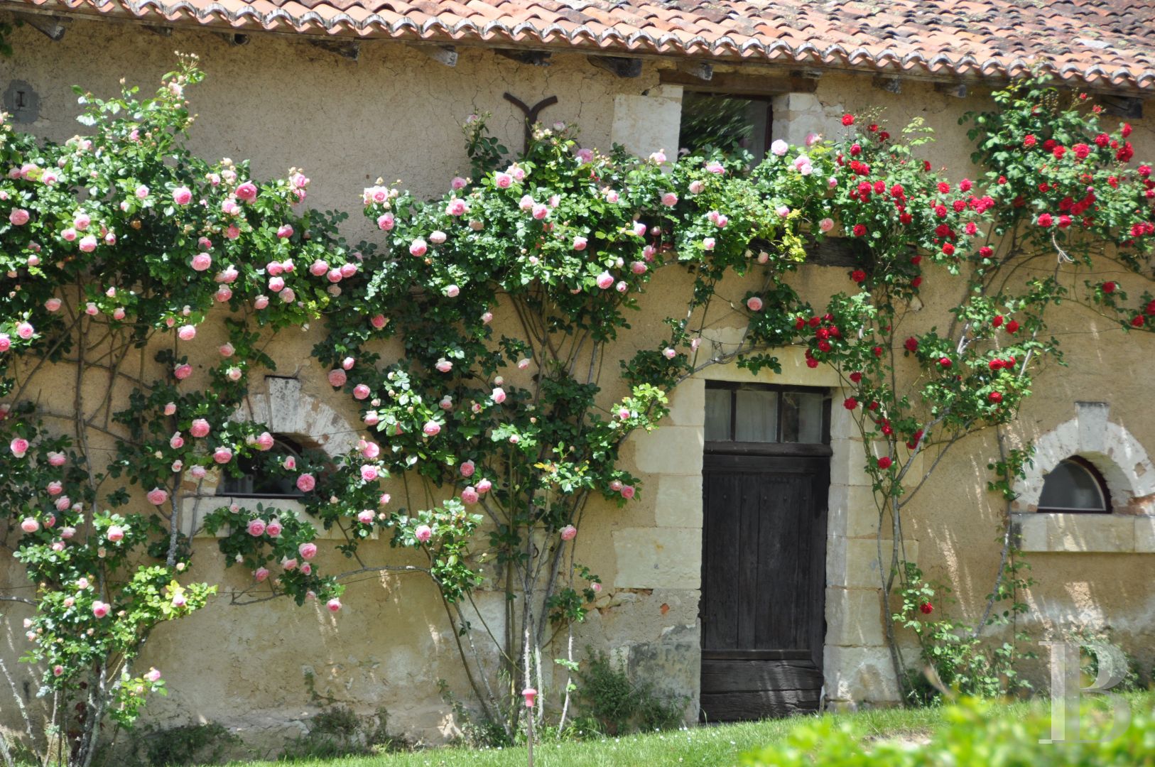 A manor house nestled in the hills of the Dordogne, to the north-west of Périgueux - photo  n°14