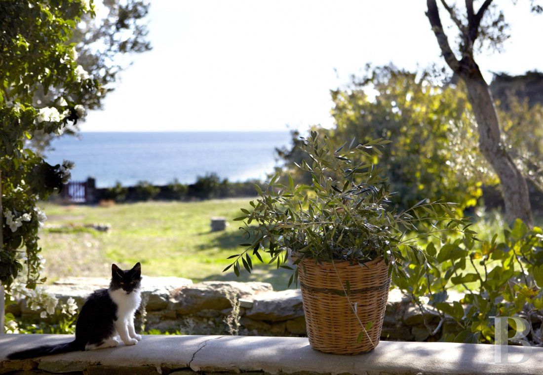 Three former sheepfolds united by a beautiful spirit by the sea in Tinos, the Cyclades - photo  n°7