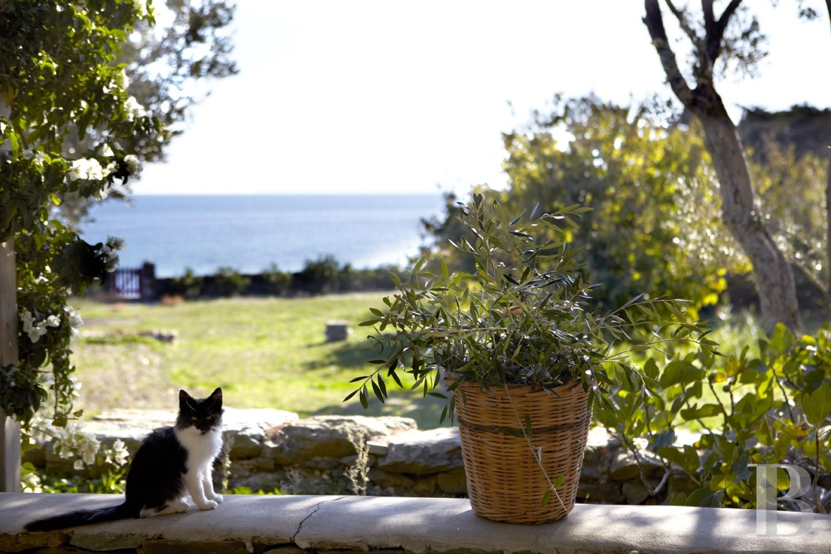 Three former sheepfolds united by a beautiful spirit by the sea in Tinos, the Cyclades - photo  n°7