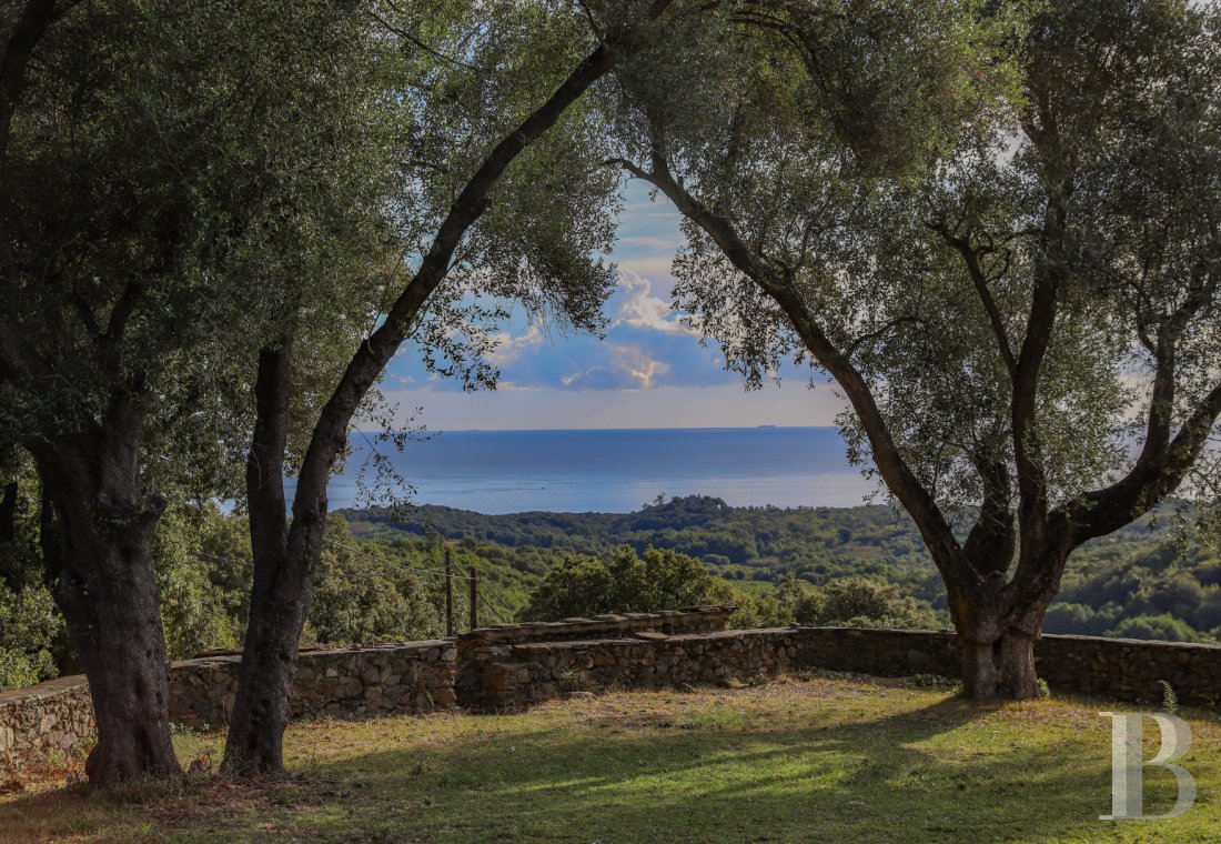 An 18th century house with well-preserved surroundings in Haute-Corse - photo  n°4