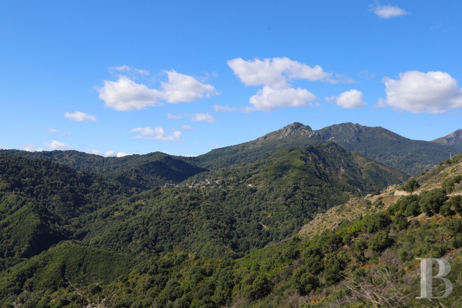 An 18th century house with well-preserved surroundings in Haute-Corse - photo  n°28