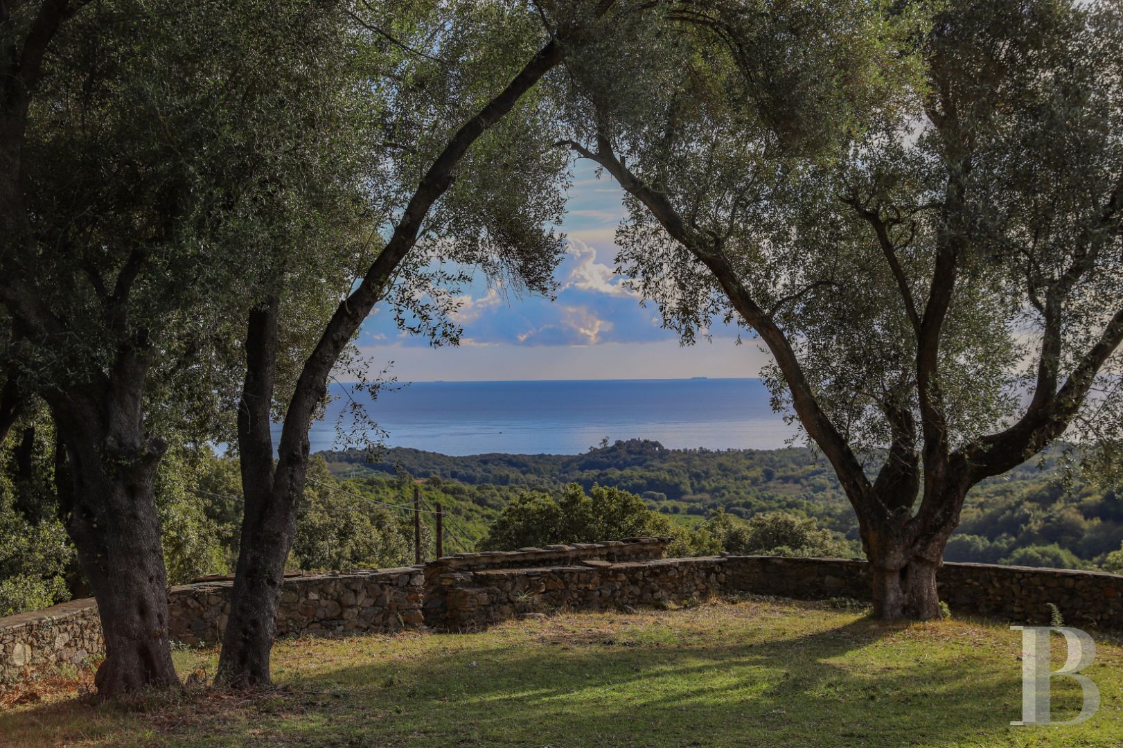 An 18th century house with well-preserved surroundings in Haute-Corse - photo  n°4
