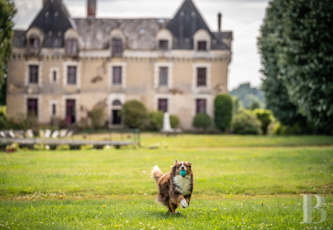 An elegant 17th century chateau with a park stretching for as far as the eye can see between Périgueux and Limoges, in the north of the Dordogne - photo  n°2