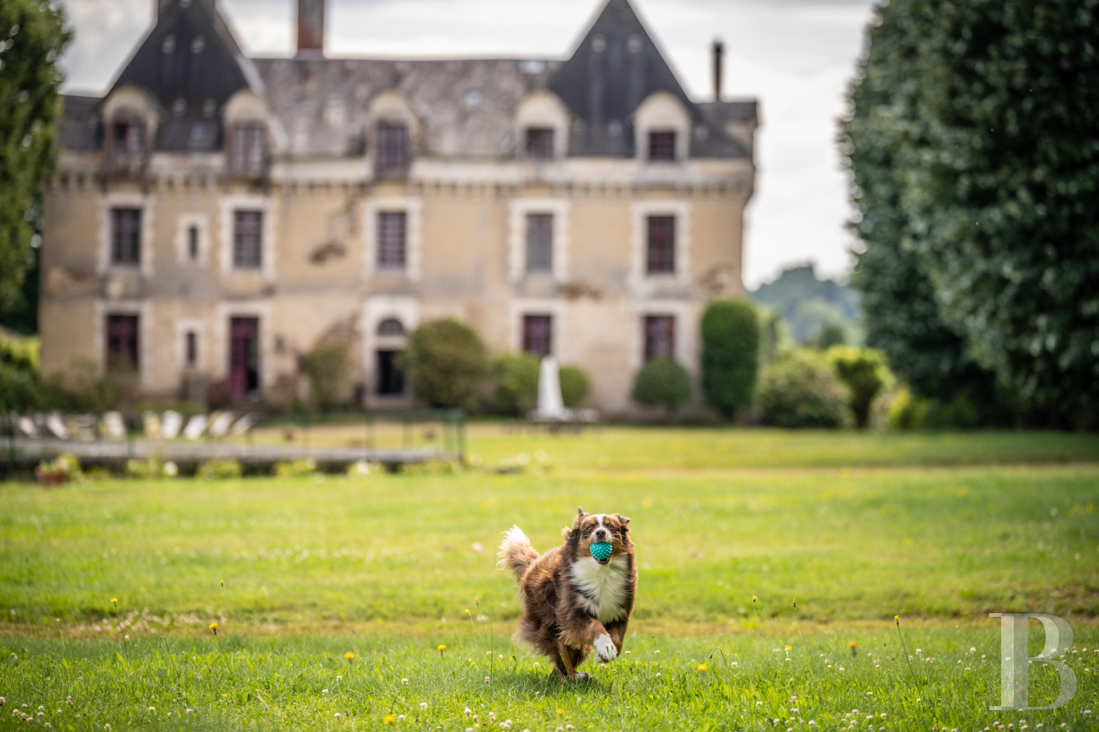 An elegant 17th century chateau with a park stretching for as far as the eye can see between Périgueux and Limoges, in the north of the Dordogne - photo  n°2