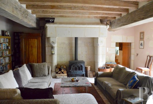 France mansions for sale pays de loire   - 6