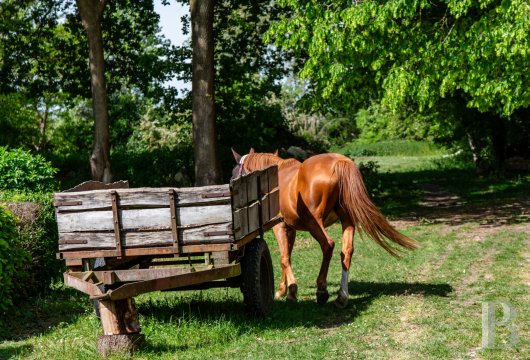 En Eure-et-Loir,  un gîte indépendant dans l’enceinte d’un manoir percheron du 16e siècle - photo  n°35
