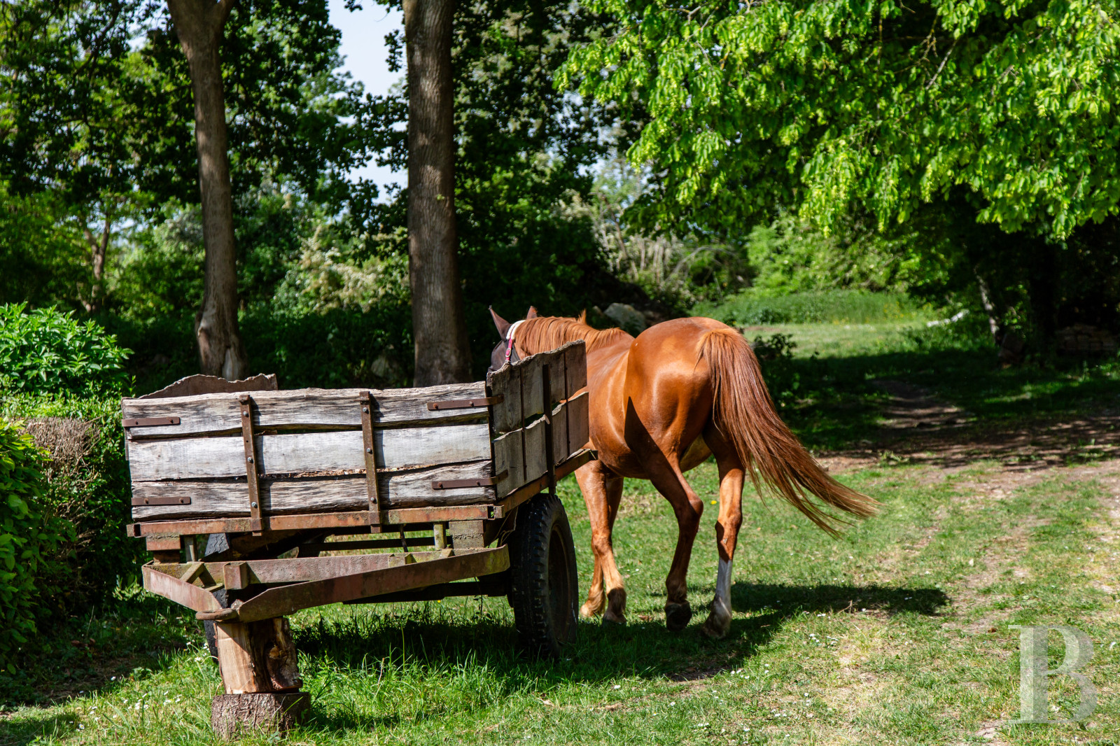 En Eure-et-Loir,  un gîte indépendant dans l’enceinte d’un manoir percheron du 16e siècle - photo  n°35