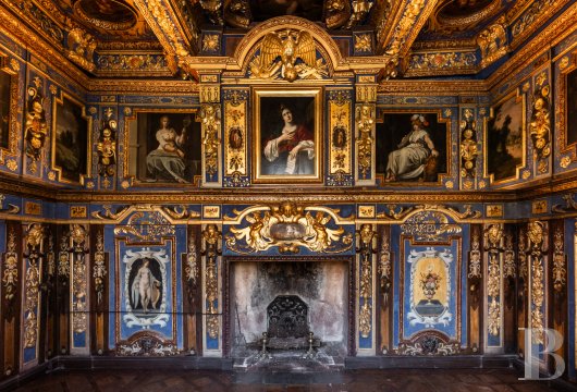 chateaux a vendre bourgogne   - 17