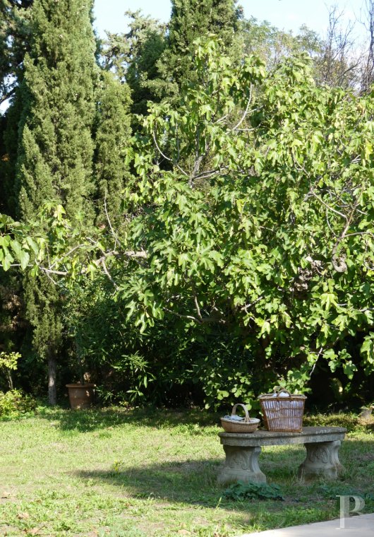 mansion houses for sale France languedoc roussillon   - 19
