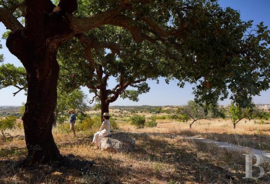 Au sud du Portugal, à proximité de la frontière espagnole, une propriété agricole transformée en lieu de villégiature - photo  n°2