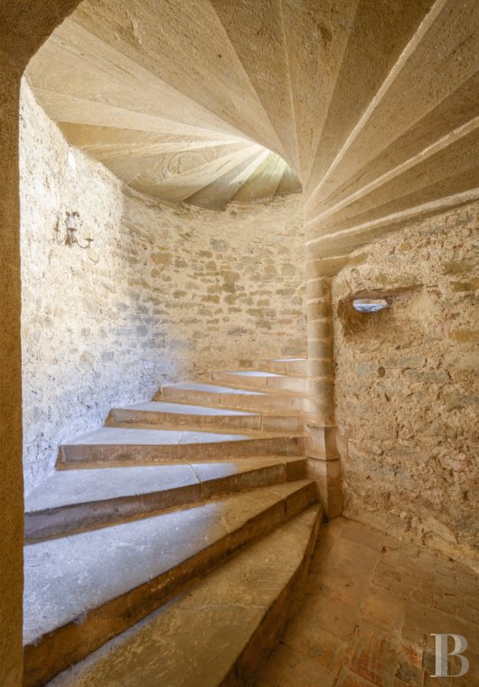 chateaux for sale France midi pyrenees   - 7