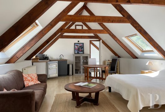 chateaux for sale France brittany   - 17