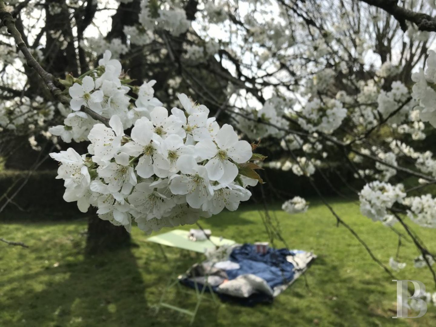 A former hotel reacquainted with hosting in a Calvados village, between Caen and Bayeux - photo  n°24