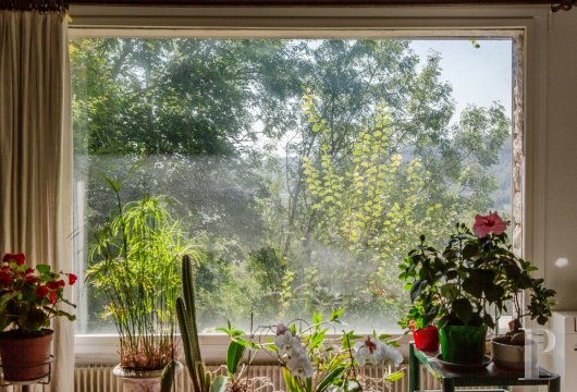 ruins for sale France rhones alps   - 9