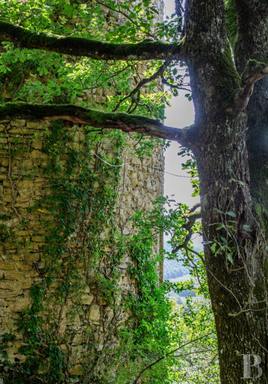 ruins for sale France rhones alps   - 10