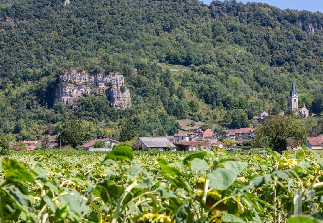 ruins for sale France rhones alps   - 13