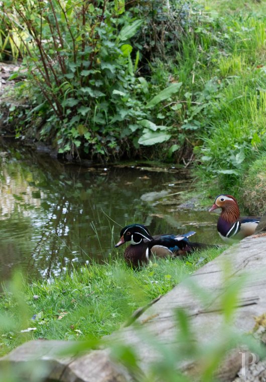 An 18th-century estate entirely dedicated to holidays and events near Vannes, in the Morbihan - photo  n°32