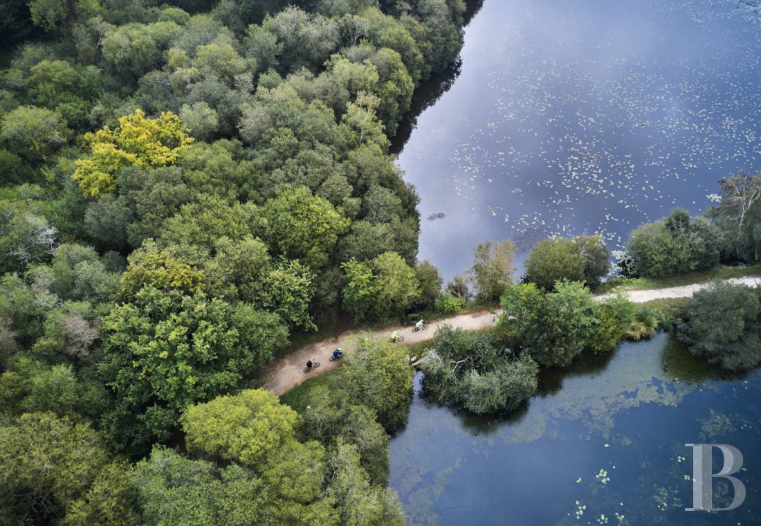 An 18th-century estate entirely dedicated to holidays and events near Vannes, in the Morbihan - photo  n°34