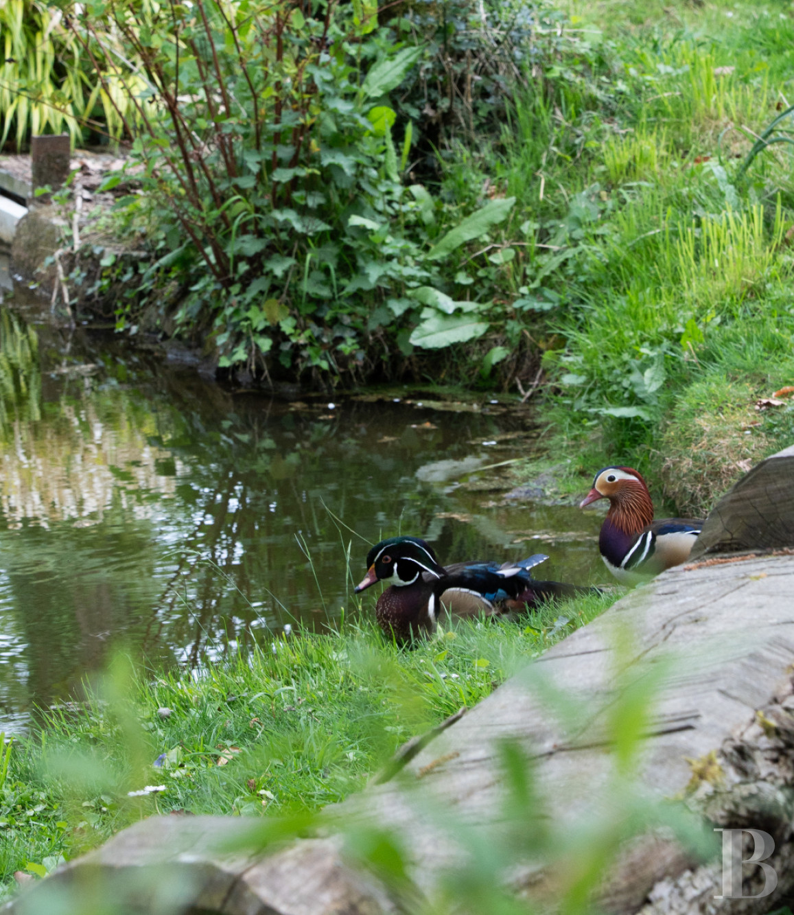 An 18th-century estate entirely dedicated to holidays and events near Vannes, in the Morbihan - photo  n°32