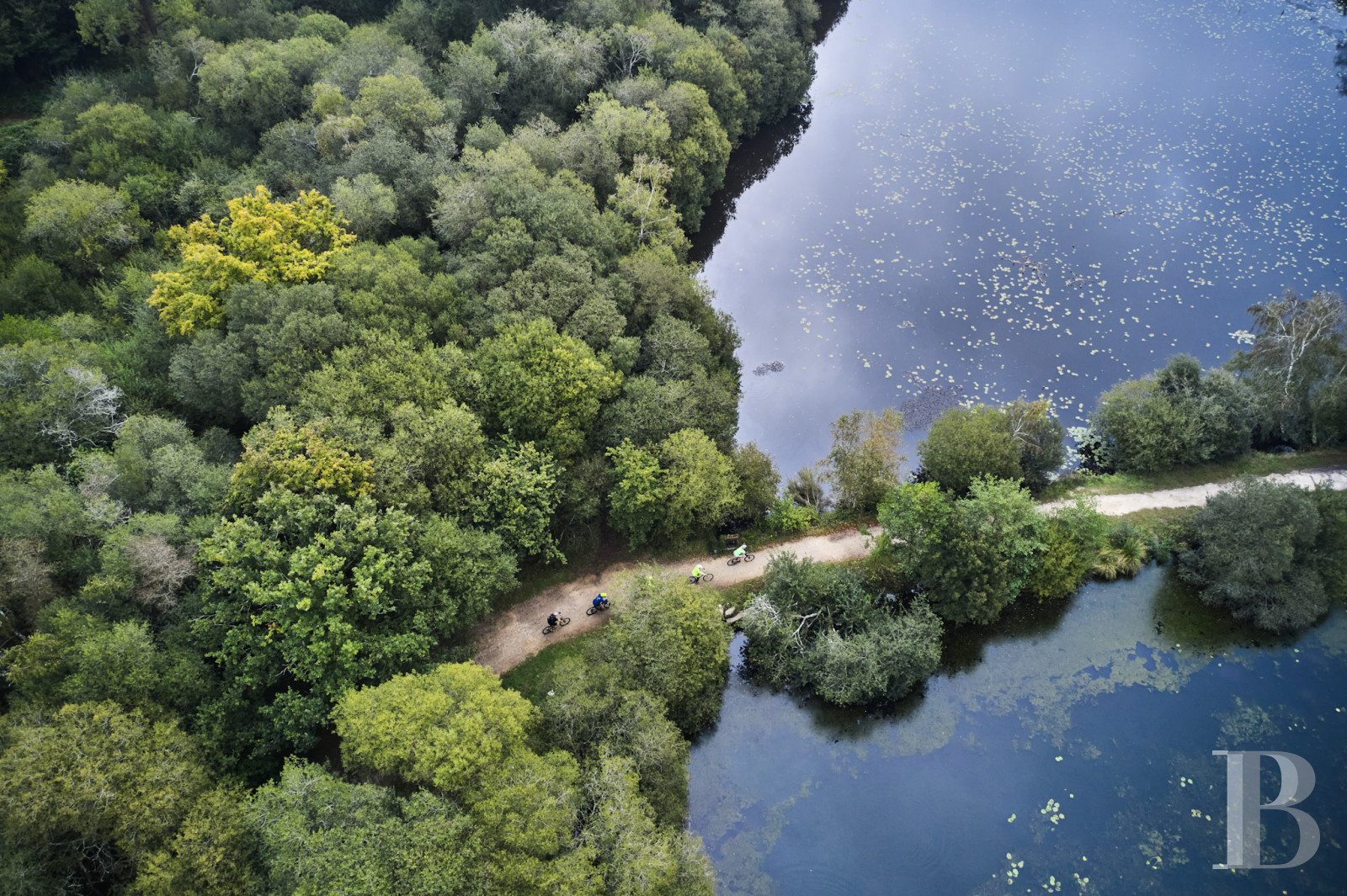An 18th-century estate entirely dedicated to holidays and events near Vannes, in the Morbihan - photo  n°34