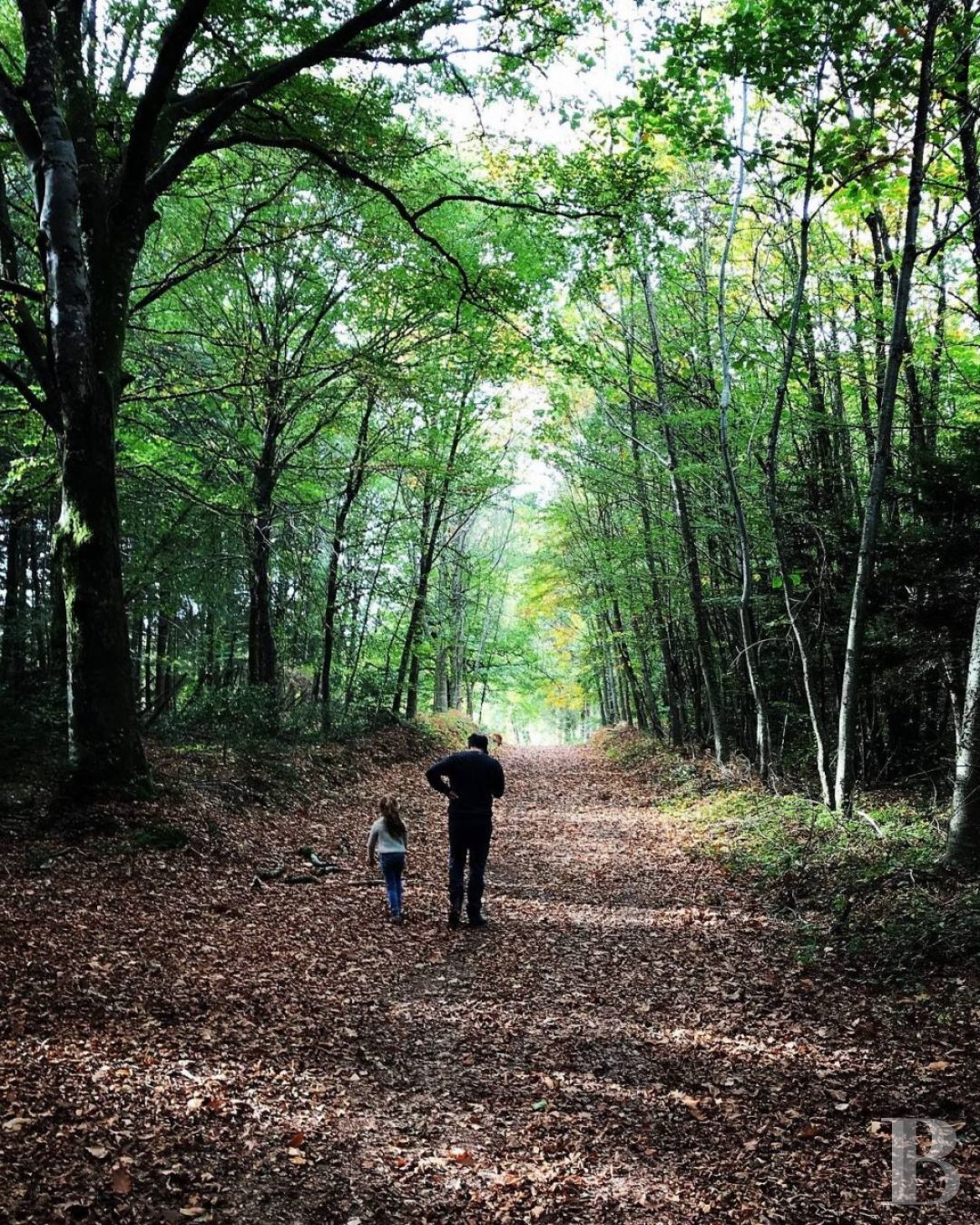 A large 18th century house reinvented by a Michelin-starred chef in Haute-Vienne, to the north-west of Limoges - photo  n°36