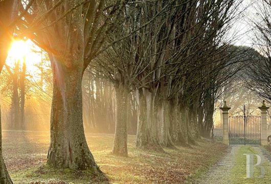 Dans le Gers, entre Auch et Marciac, une gentilhommière en pleine nature ancrée dans ses traditions gasconnes - photo  n°21