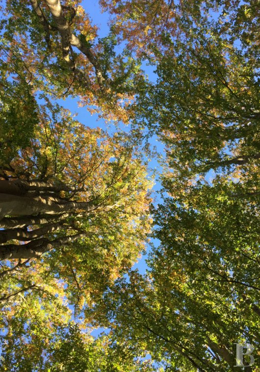 Dans le Gers, entre Auch et Marciac, une gentilhommière en pleine nature ancrée dans ses traditions gasconnes - photo  n°3