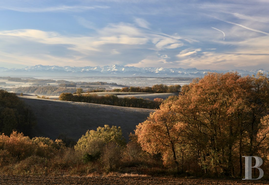 Dans le Gers, entre Auch et Marciac, une gentilhommière en pleine nature ancrée dans ses traditions gasconnes - photo  n°22