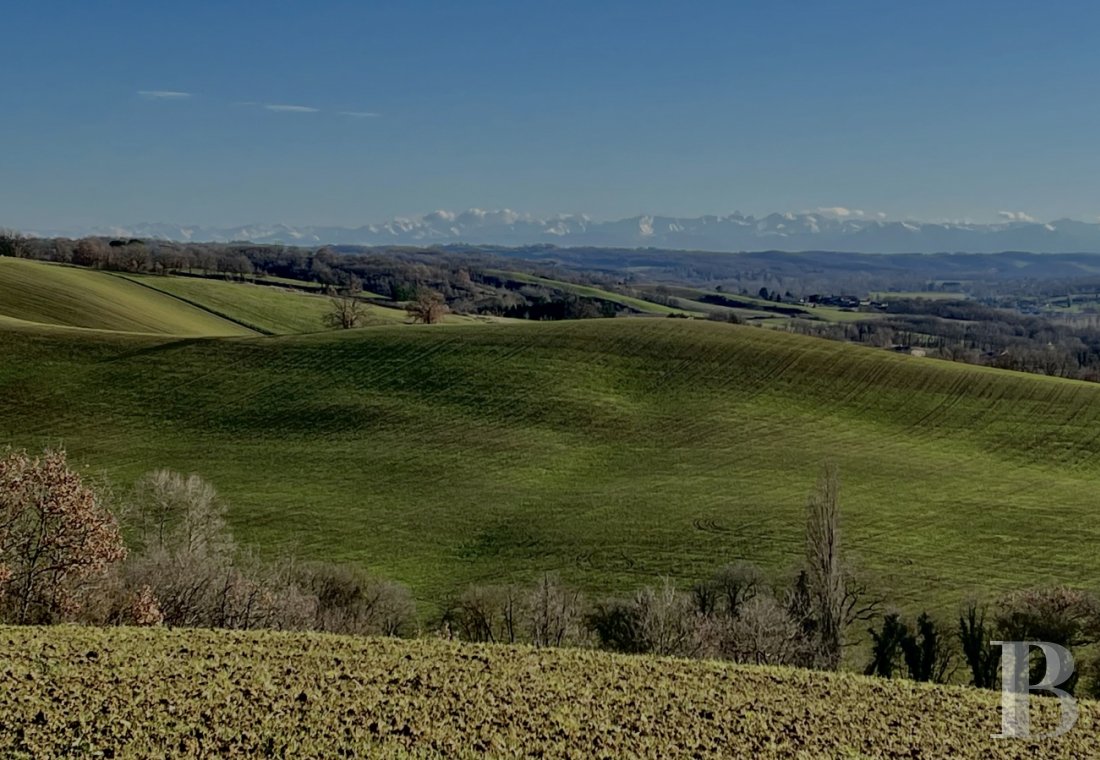 Dans le Gers, entre Auch et Marciac, une gentilhommière en pleine nature ancrée dans ses traditions gasconnes - photo  n°17