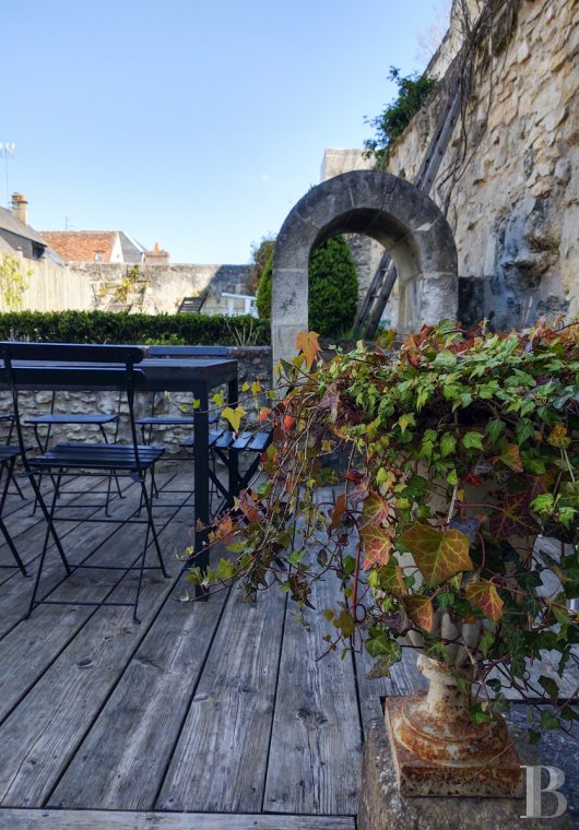 mansion houses for sale France center val de loire   - 19