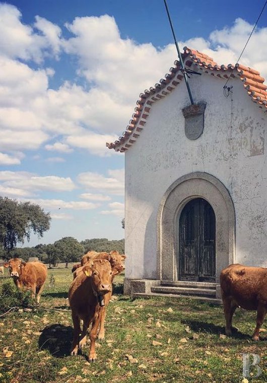 A group of traditional village houses in the heart of Alentejo, to the east of Lisbon - photo  n°30