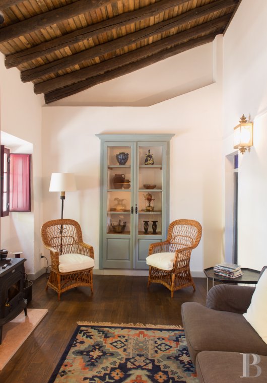 A group of traditional village houses in the heart of Alentejo, to the east of Lisbon - photo  n°22