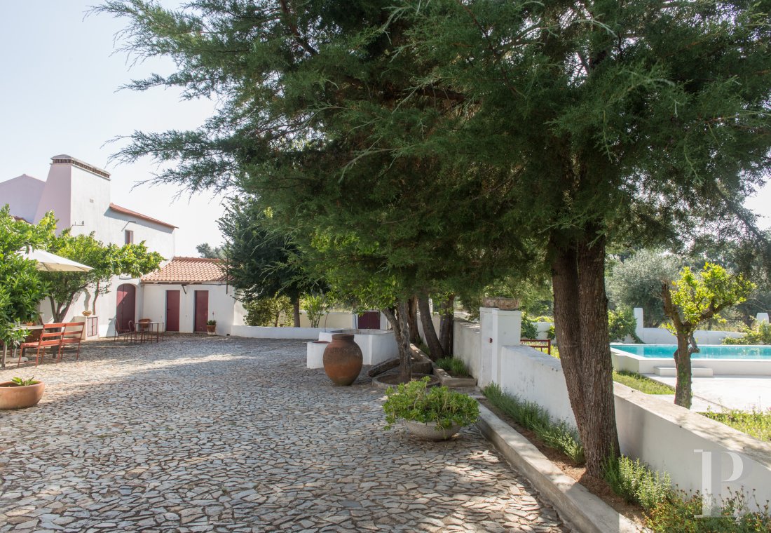 A group of traditional village houses in the heart of Alentejo, to the east of Lisbon - photo  n°6