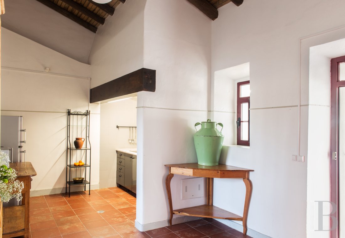 A group of traditional village houses in the heart of Alentejo, to the east of Lisbon - photo  n°23
