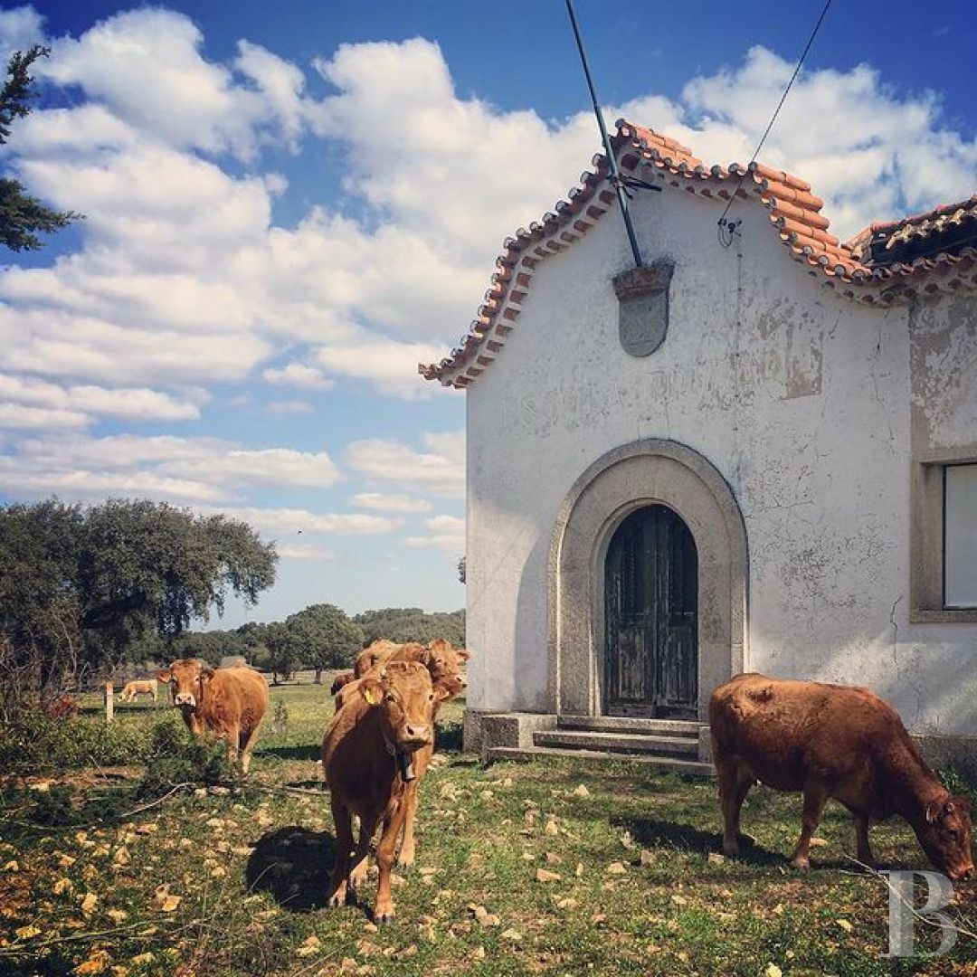 À l’est de Lisbonne, au cœur de l’Alentejo, un ensemble de maisons de village traditionnelles - photo  n°30