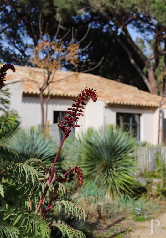 A former artist's studio with a Mediterranean garden in the Bay of Canoubiers, Saint-Tropez - photo  n°6